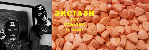 тгк Ельня