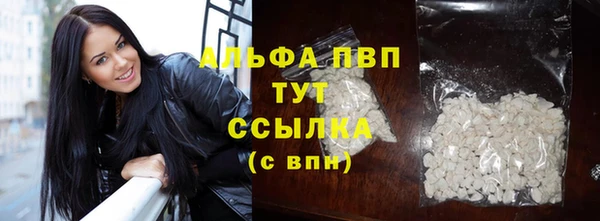 тгк Ельня