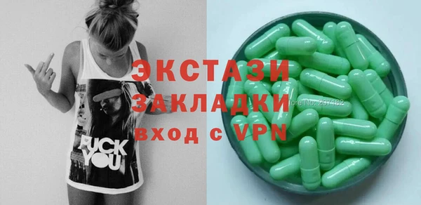 тгк Ельня