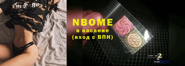 шишки Заводоуковск