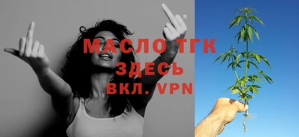 тгк Ельня