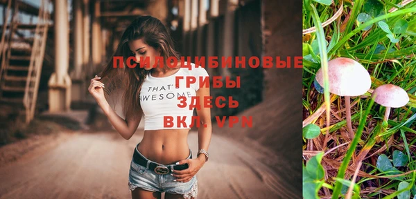 мефедрон мука Гусь-Хрустальный