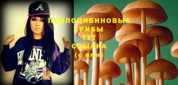 MESCALINE Елабуга