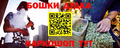 спиды Гай