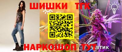 спиды Гай