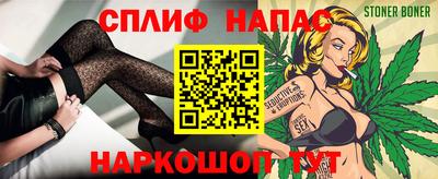 спиды Гай
