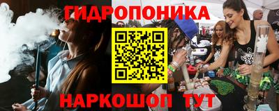 спиды Гай