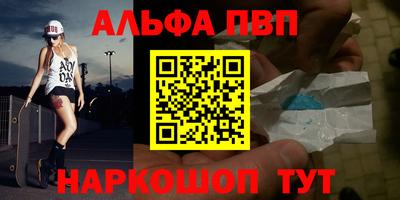 спиды Гай