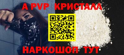 спиды Гай