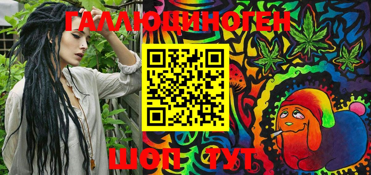 Псилоцибиновые грибы Cubensis Кизилюрт